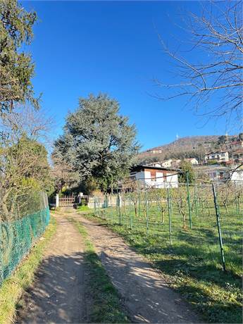 Photo 42